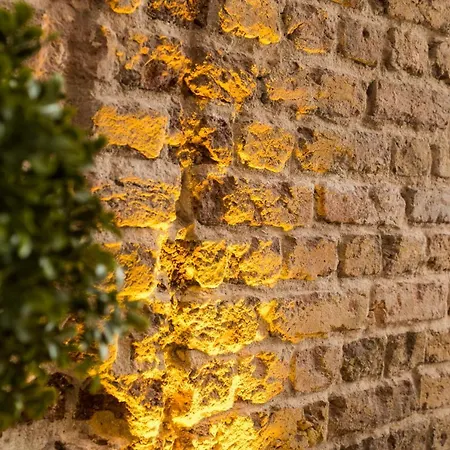 호텔 The Wilson Galata 3*